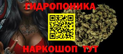 каннабис Аргун