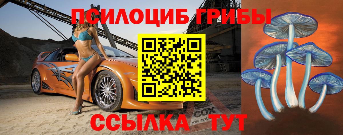 Галлюциногенные грибы Psilocybe Брянск